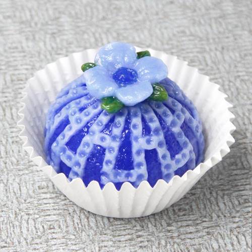 Click to view detail for HG-232 Truffle, Garden Blueberry $50